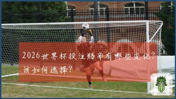 2026世界杯投注赔率有哪些变化？该如何选择？