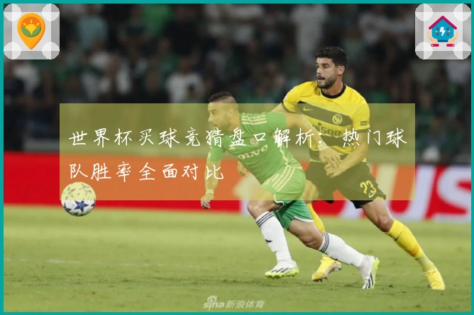 世界杯买球竞猜盘口解析：热门球队胜率全面对比